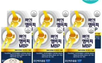 오늘의 원샷원딜 뼈엔 엠비피 MBP 6개월분 Best8추천