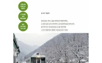 인플루언서들이 먼저 찾는 여행공방 함평 나비대축제 당일 기차여행 리뷰