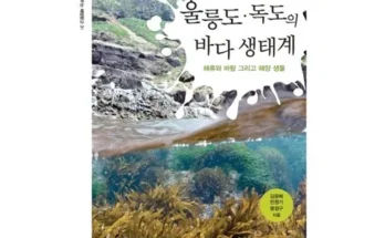 망설일수록 손해보는 크루즈타고 가는 울릉도독도 완전정복 3일 Best8추천