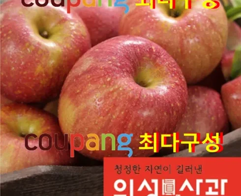 인플루언서들이 먼저 찾는 2023 가족 보조개사과 2.5kg2박스총 5kg 적극추천