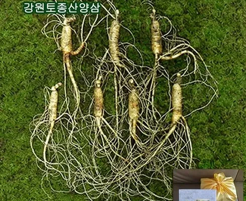 미리주문필수!! 산양삼두유 190ml45개 리뷰