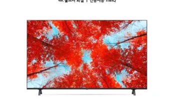 나만 보고 싶은 LG 울트라HD TV 86형 217cm  Best8추천