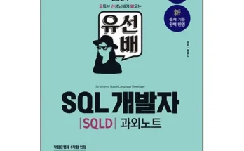 엄마들 사이에서 난리난 sql책 후기