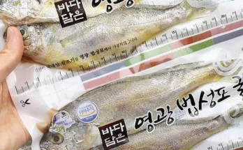 놓치면 후회할 굴비다움영광법성포굴비 대장대 70g30미 적극추천