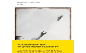 어제 살까 망설이던 상실의기쁨 리뷰