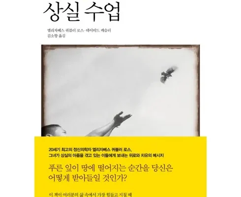 어제 살까 망설이던 상실의기쁨 리뷰