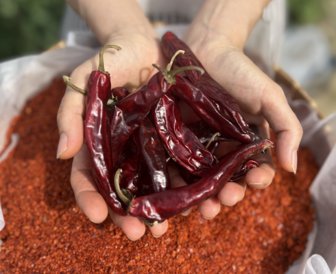 엄마들 사이에서 난리난 청송미소 고춧가루 1kg  2팩 리뷰