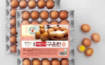 나만 빼고 다 아는 구운계란 후기